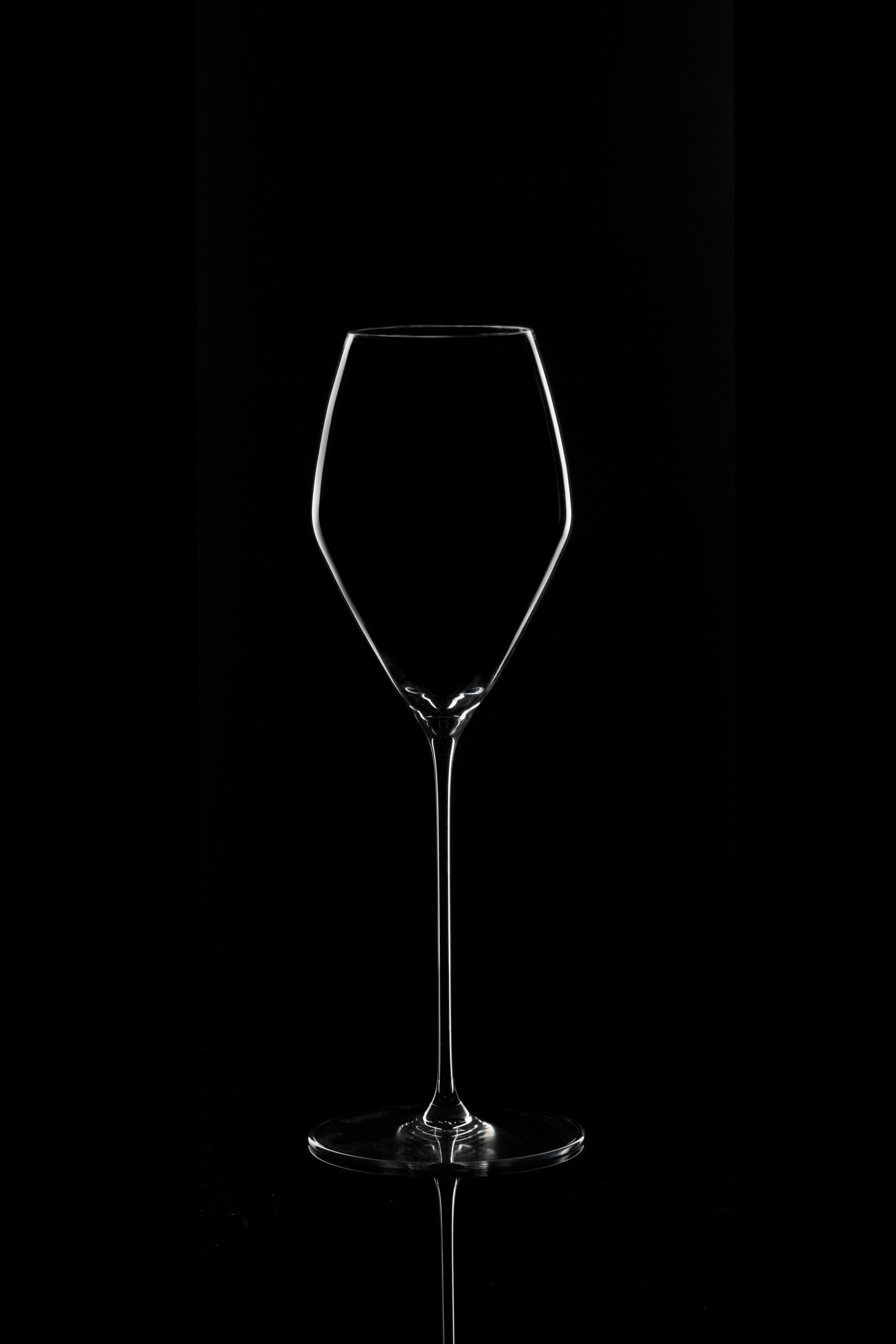 Riedel Veloce Sauvignon Blanc Glass (Set of 8)