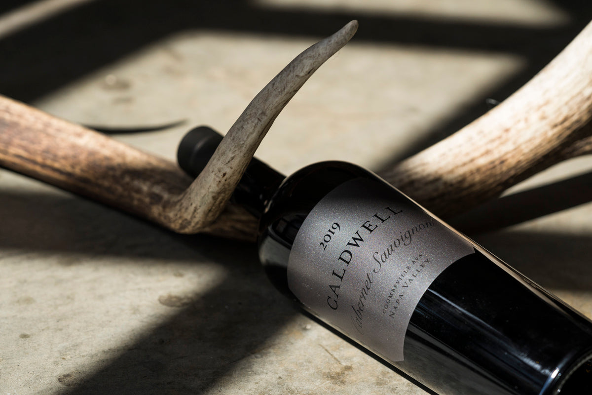 2019 Cabernet Sauvignon