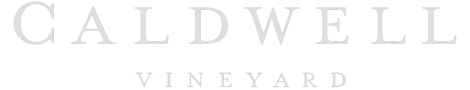 Joy Caldwell Brut Blanc de Noirs – Caldwell Vineyard