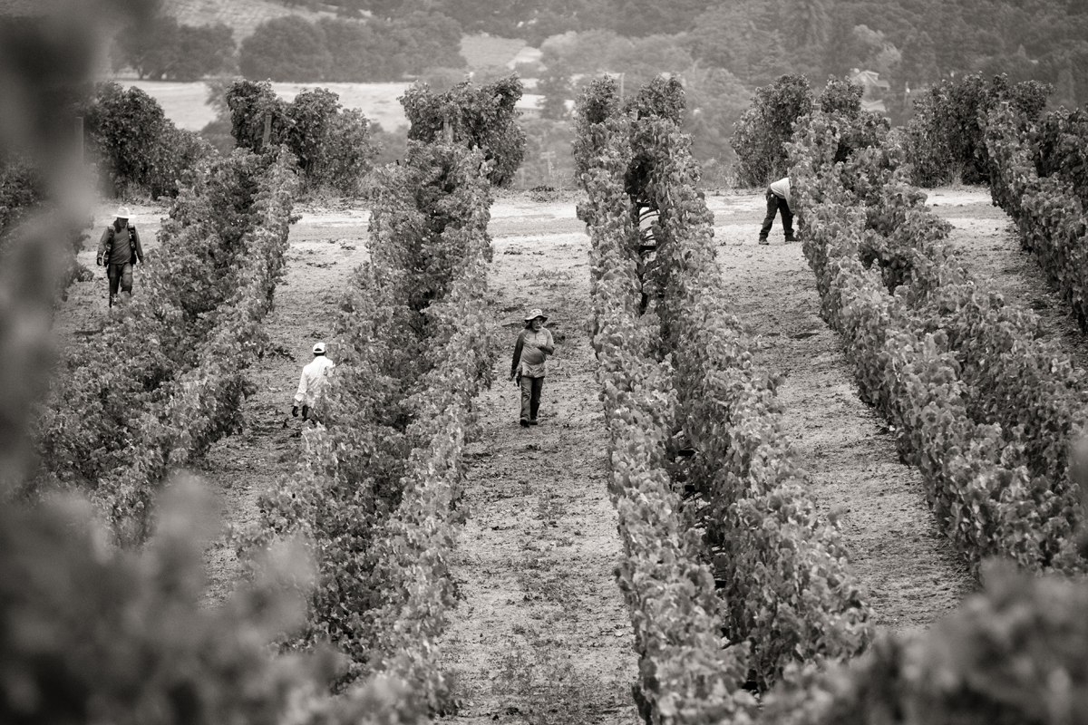 files/farming-3_a6e6dd47-2060-4936-9b64-5af3a5e31919.png